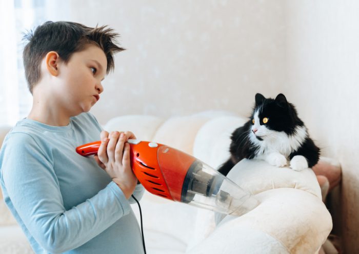 cleaning pet hair with vacuum cleaner